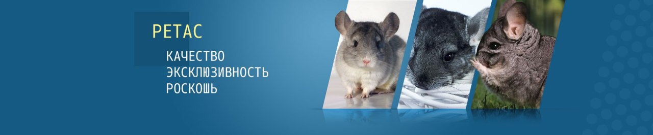 сотрудничество с Ретас